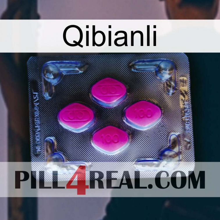 Qibianli 02